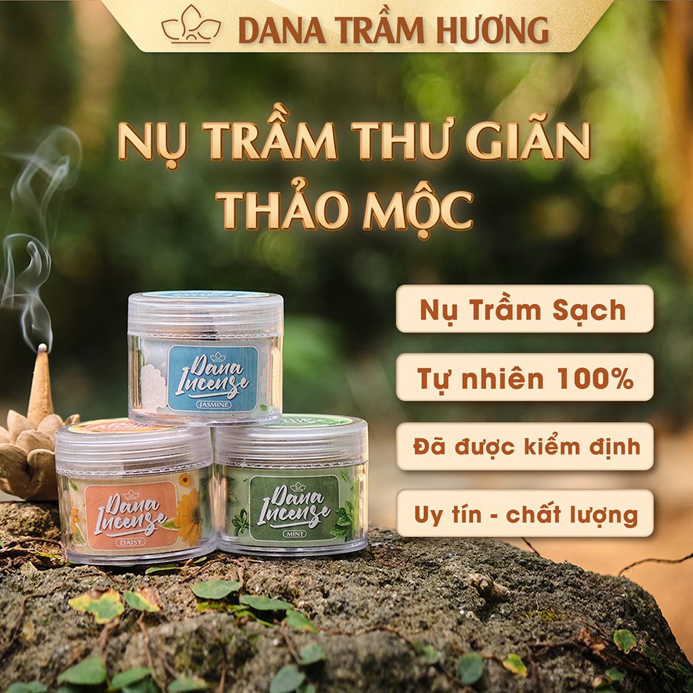 combo nụ trầm thư giãn thảo mộc 4 mùa cúc-nhài-trầm-bạc hà Dana buds